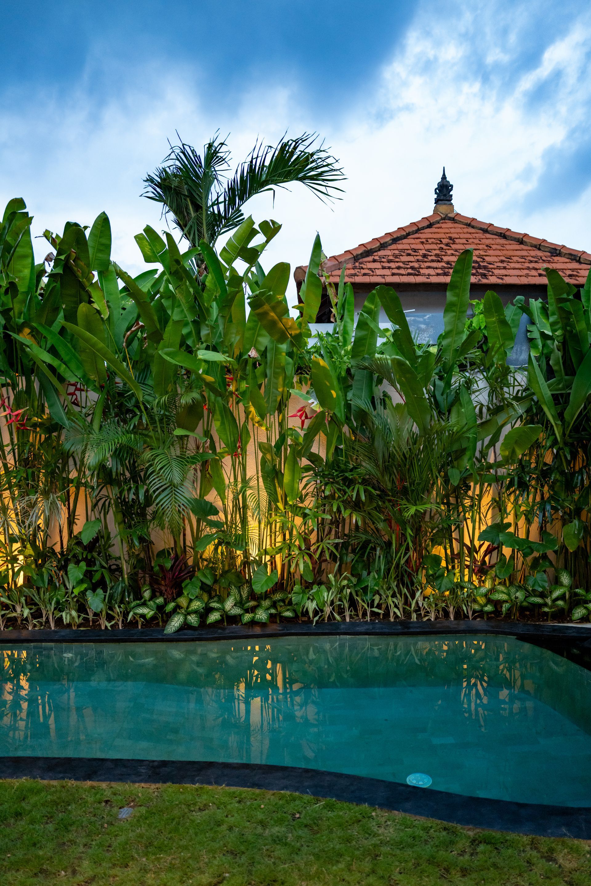 Swimming pool surrounded by tropical plants, with a house in the background under a blue sky.