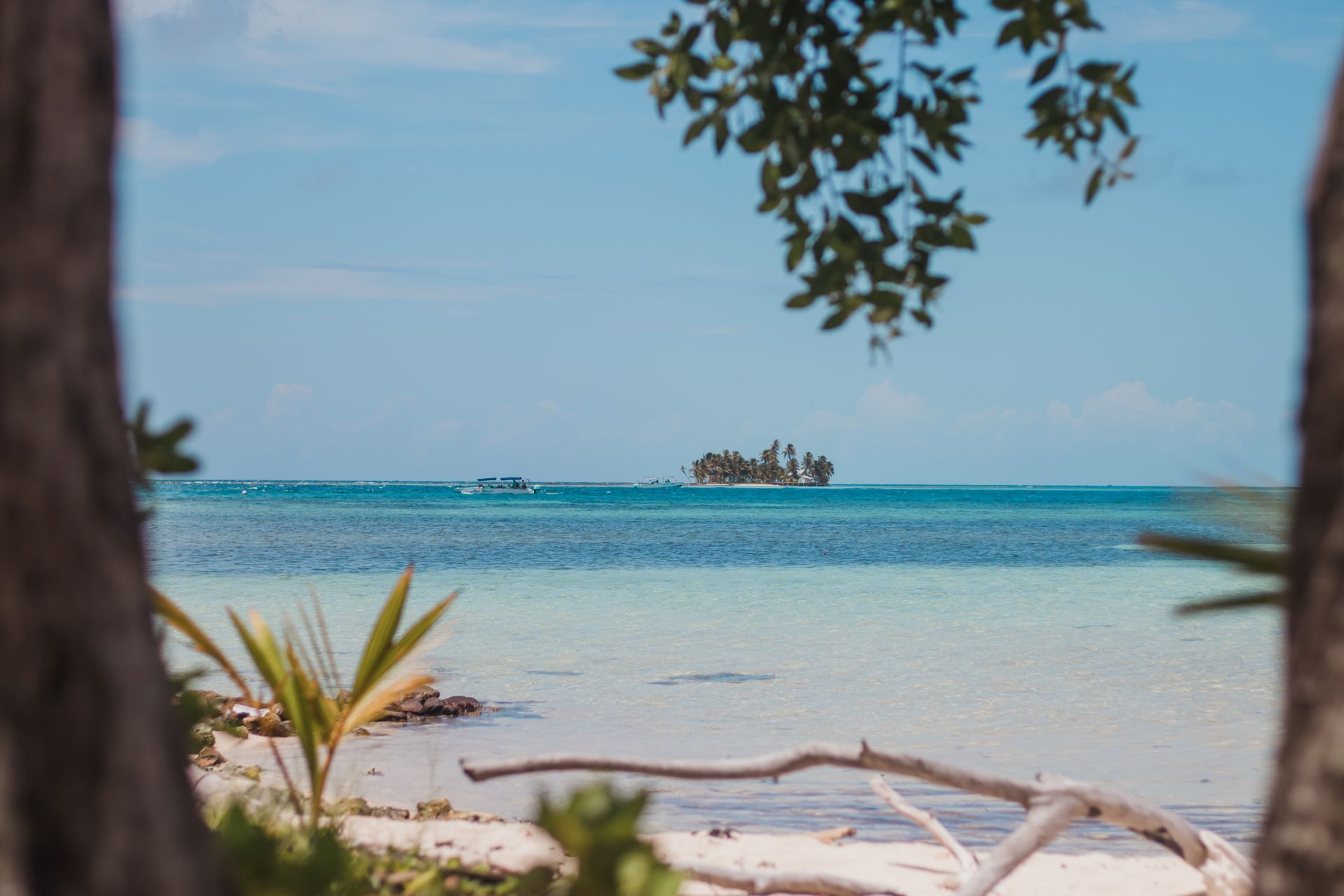 Small island on Belize Barrier Reef