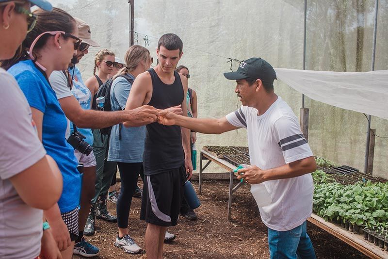 Students engaged with local farmers in Belize