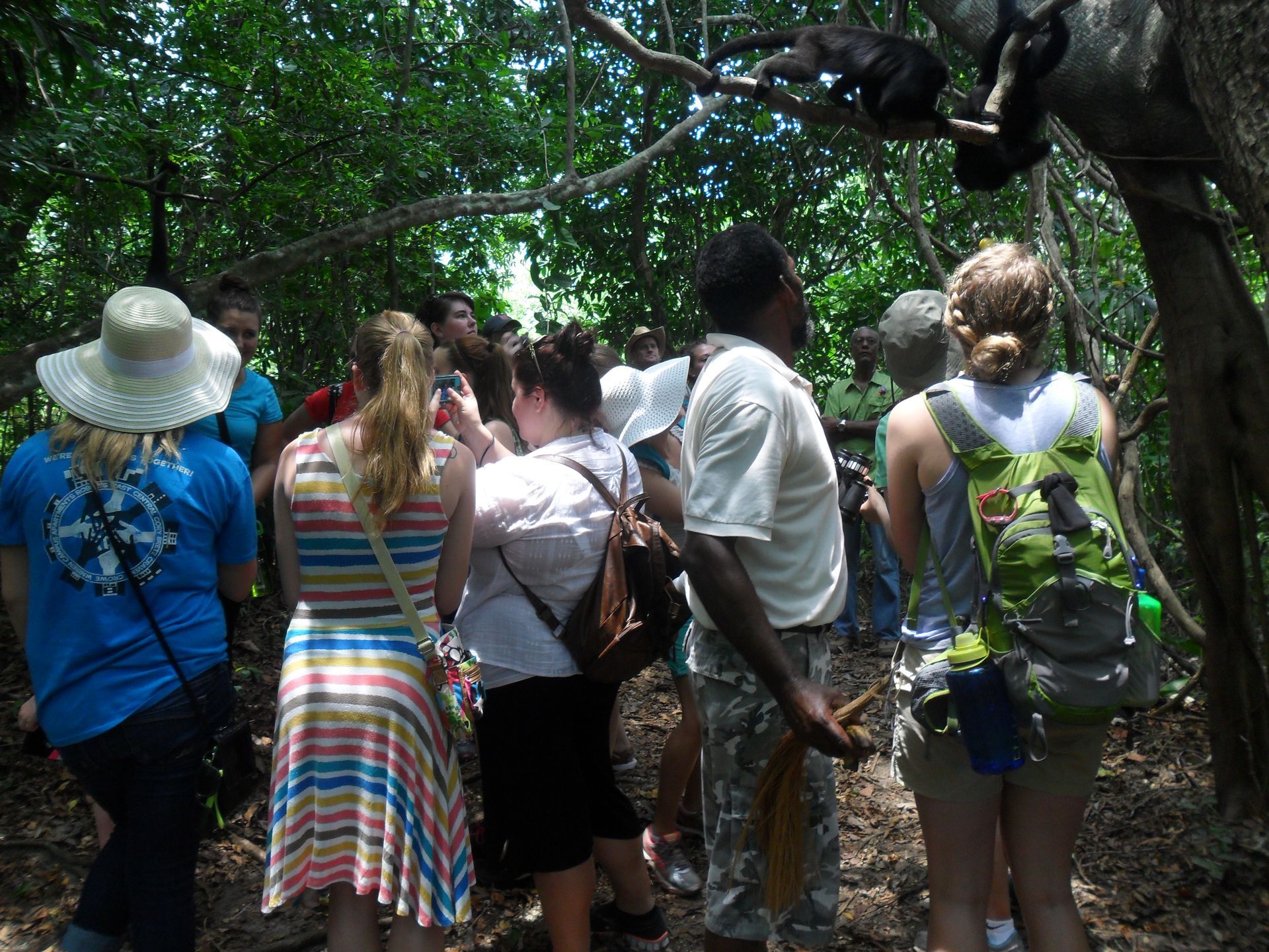 Students learning about Howler Monkeys