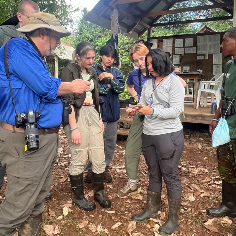 Students conducting bird surveys in the Belizean rainforest