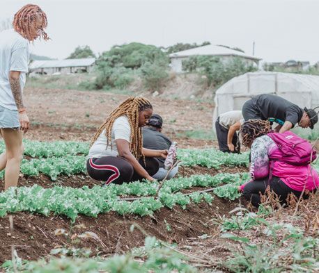 Agriculture Students in Belize