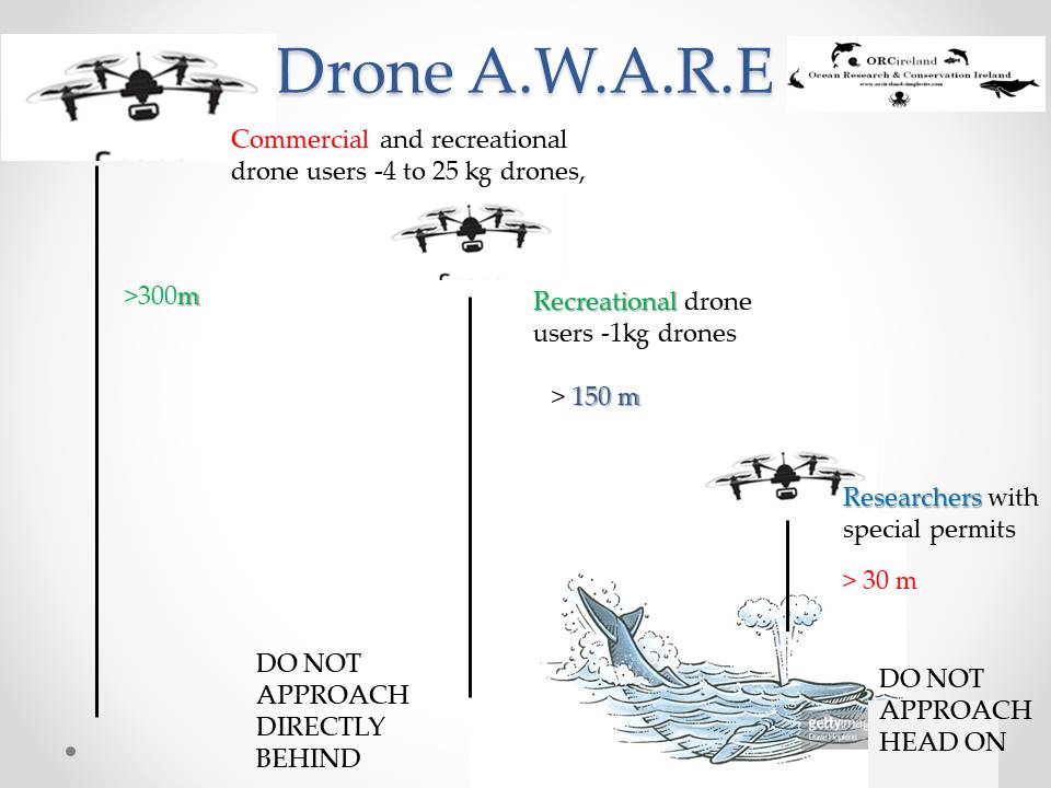 Drones use around wildlife should be regulated.