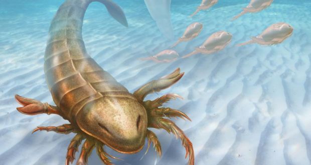 Ancient Predators Of The Sea