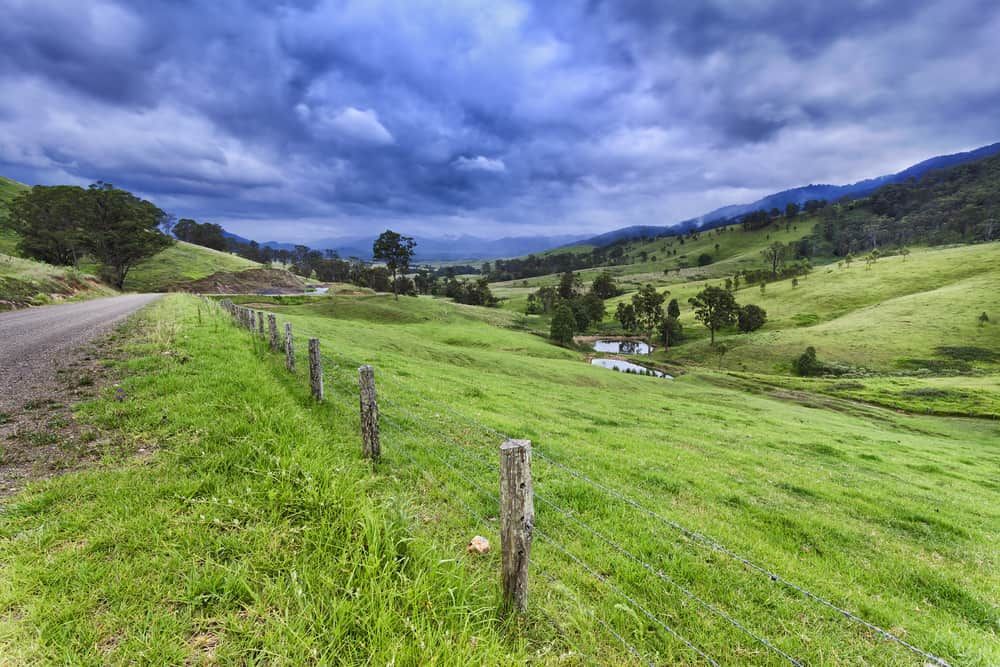 A Dirt Road Going Through a Grassy Field With a Fence in the Foreground — Reed Plumbing Industries in Rural View, QLD