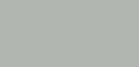 Shale Grey™