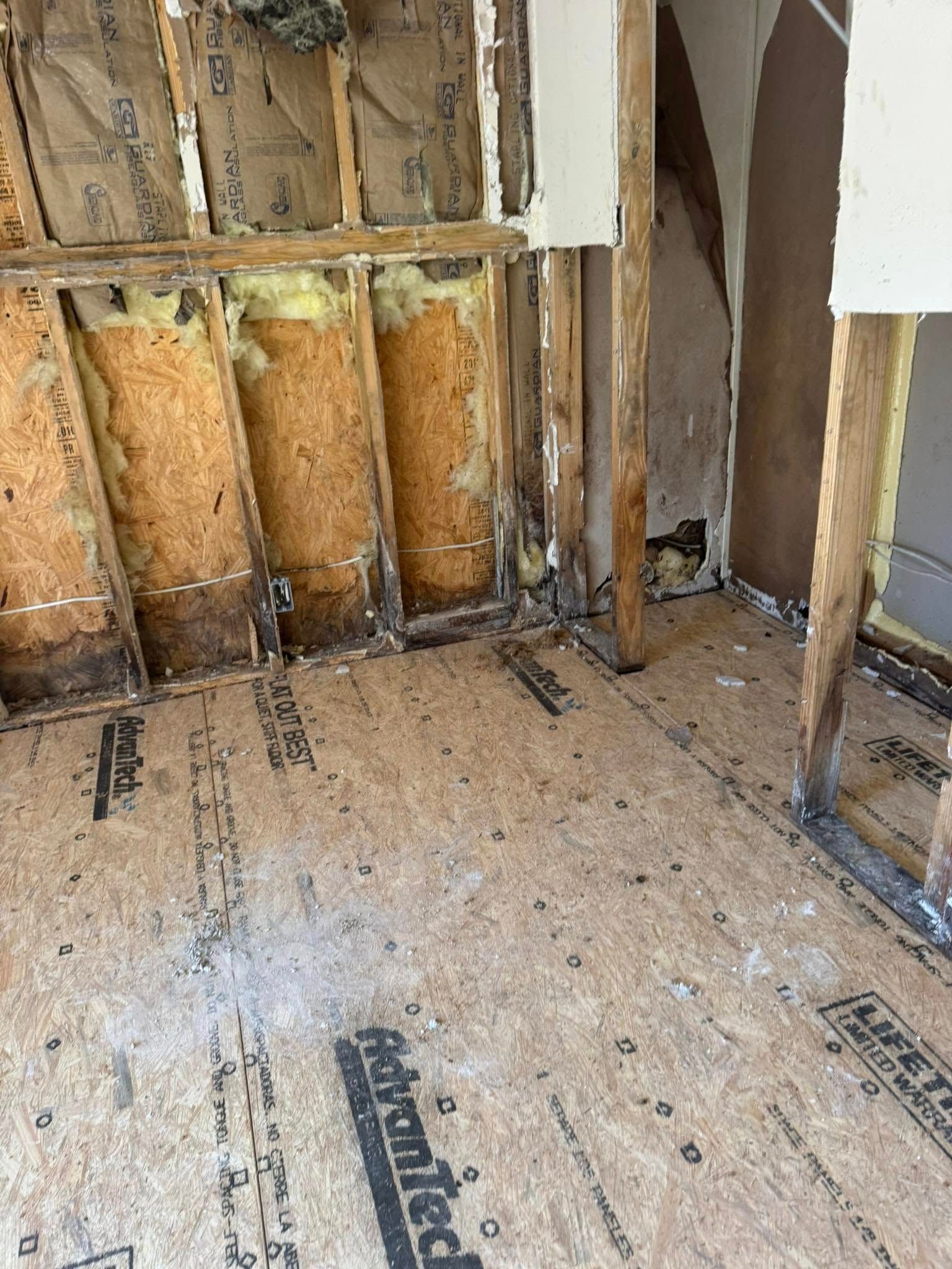 Interior view of a room gutted for renovation with exposed wood framing, flooring, and visible mold.