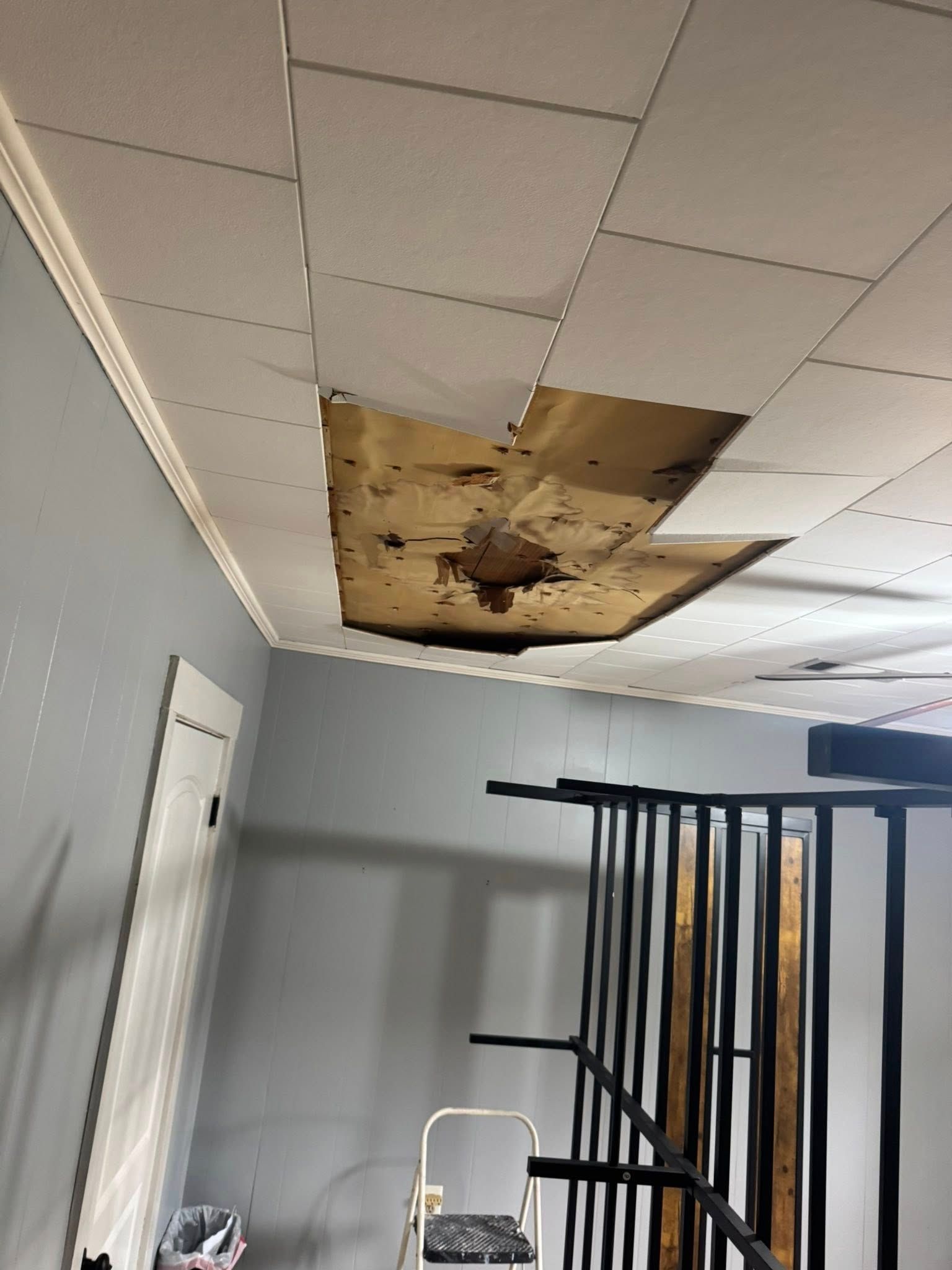Damaged ceiling with missing tiles, exposing wood. Room interior with gray walls, a door, and a ladder.