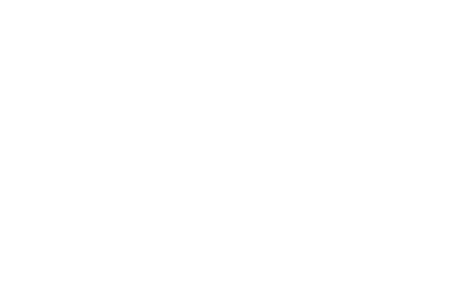 Blank white image with a thin black border at the bottom.