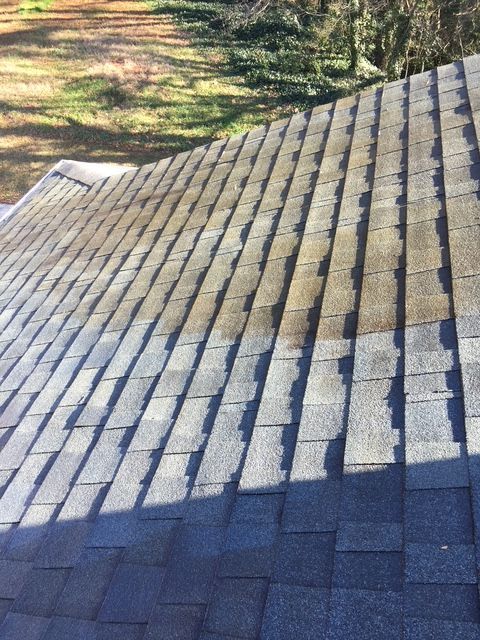Asphalt shingle roof with vertical streaks of discoloration, likely algae growth, against a bright outdoor backdrop.