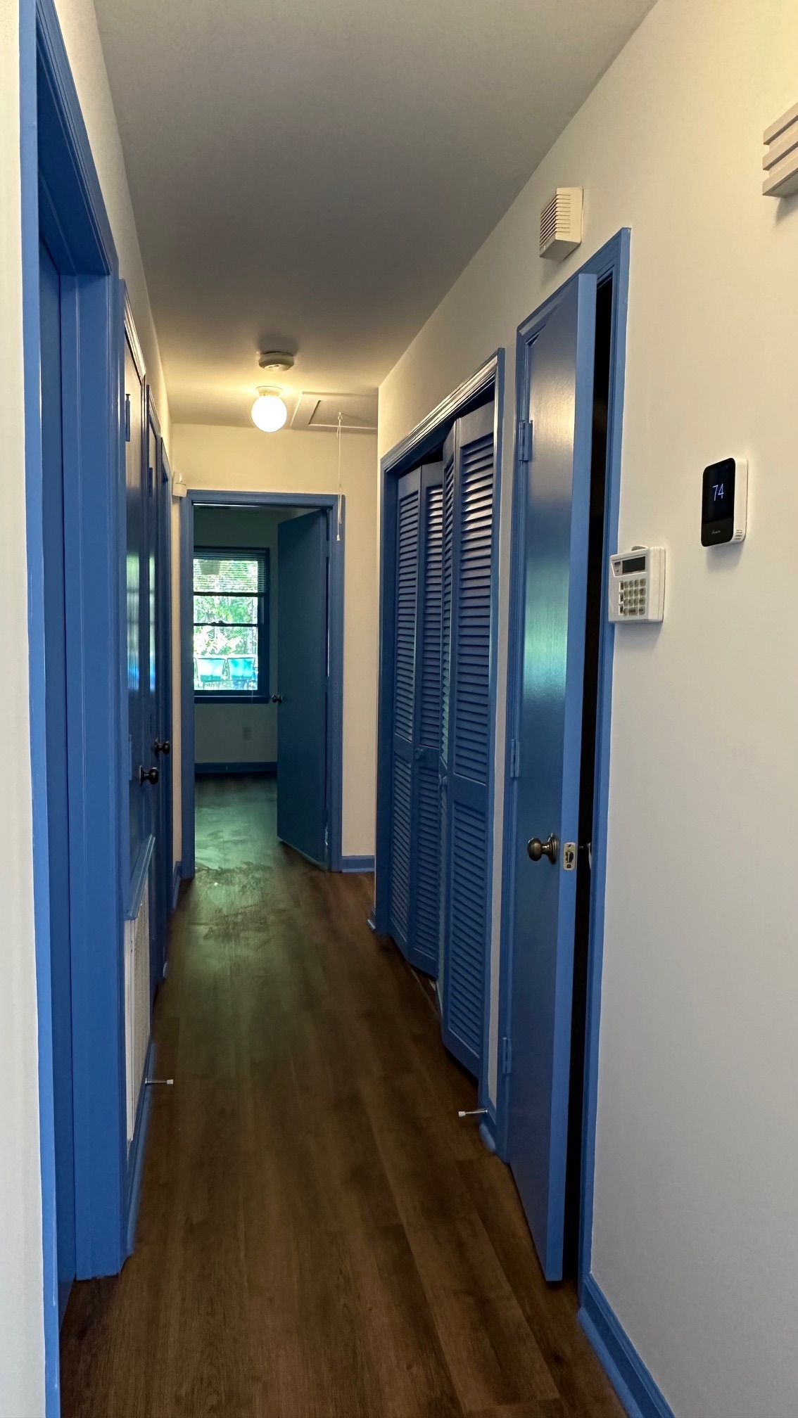 Hallway with blue doors and trim, hardwood floors, and white walls.