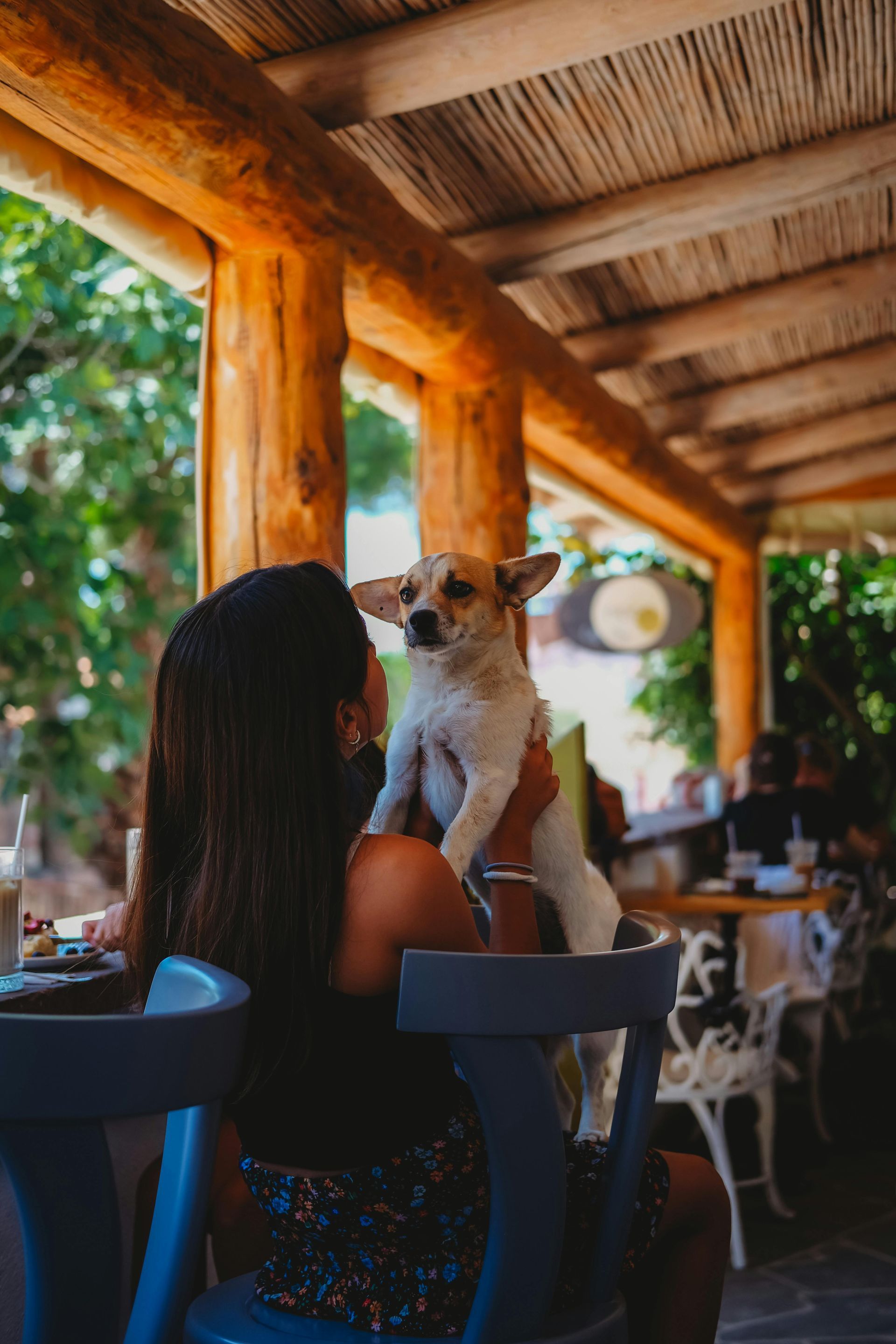 Woman on a couch with a small dog. Home interior with framed photos in the background.