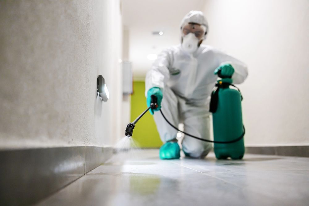 Persona con traje protector blanco rociando plantas en un jardín, tanque naranja en la espalda, guantes amarillos.