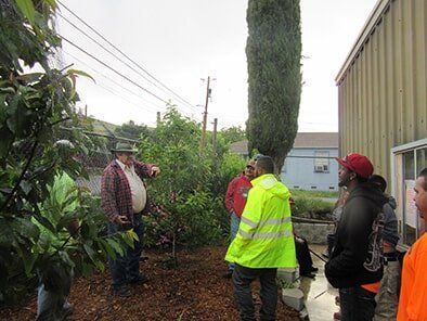 Group of Workers Standing in Front of the Tree — Concord, CA — Atlas Tree Service, Inc.