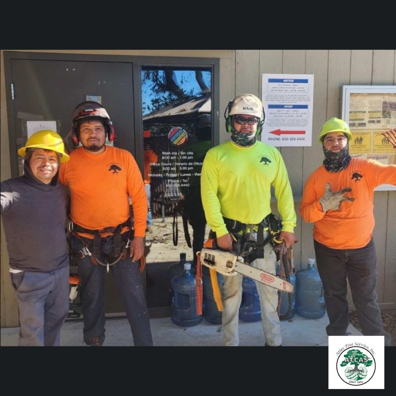 Group of Arborist — Concord, CA — Atlas Tree Service, Inc.