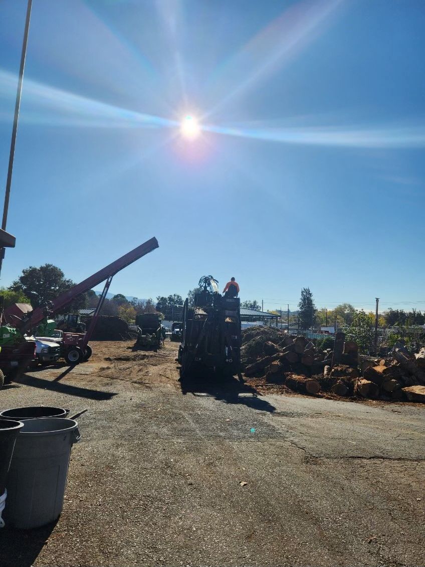 Old Being Demolished — Concord, California — Atlas Tree Service, Inc.