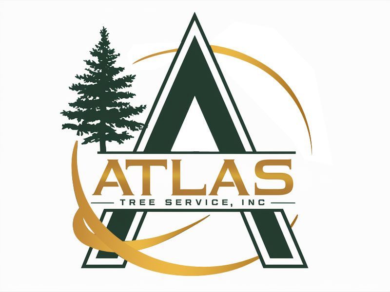 Atlas Tree Service, Inc.