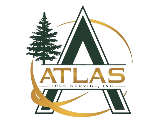 Atlas Tree Service, Inc.