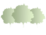 Western Chapter