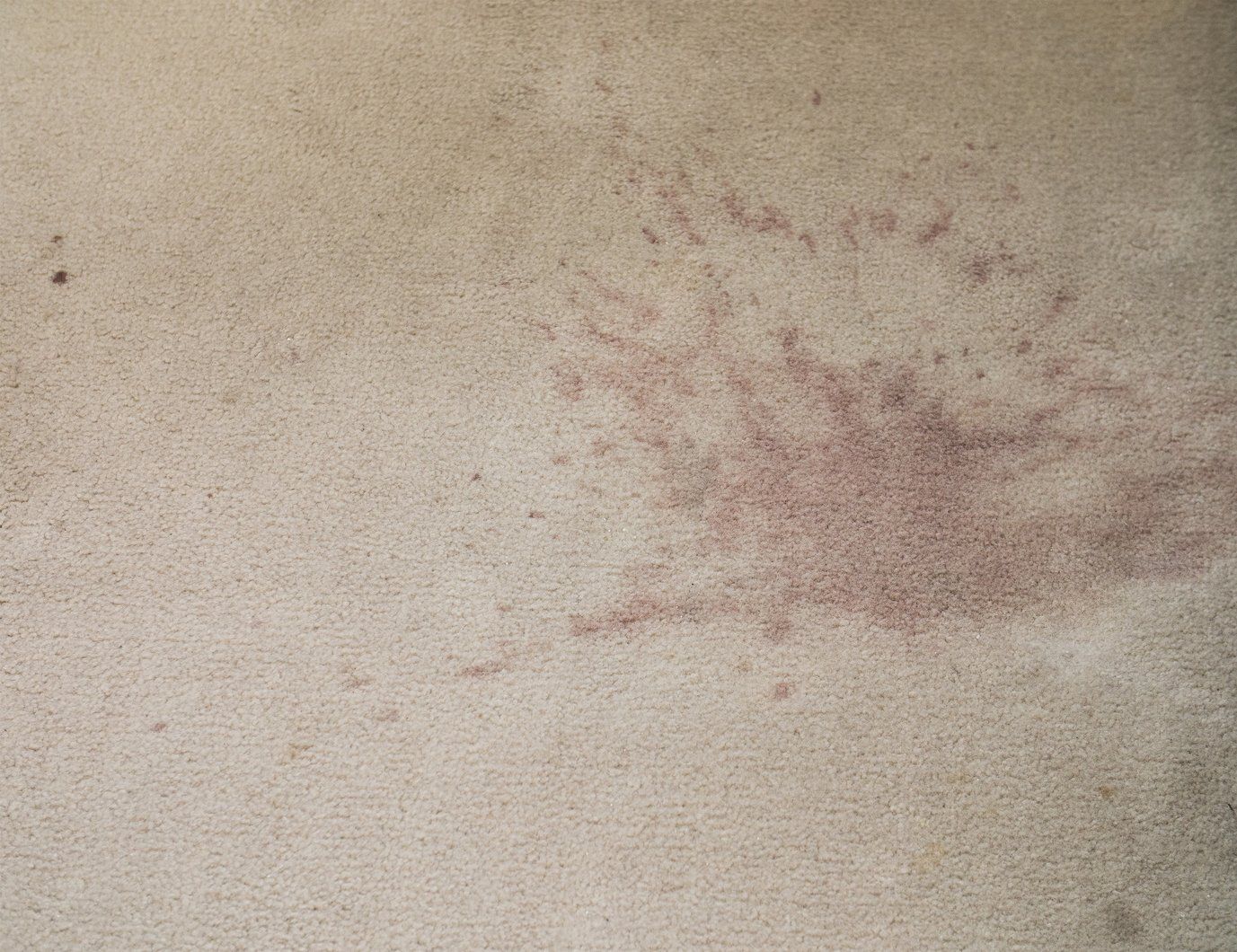 Photos of Cleaning Service Work Cheyenne, WY Little Joe Company