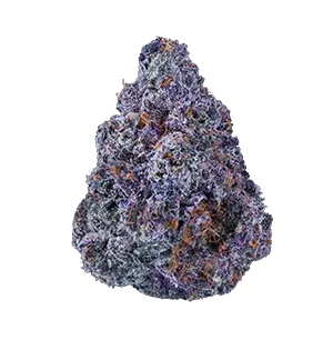 Purple and orange cannabis bud, covered in trichomes.