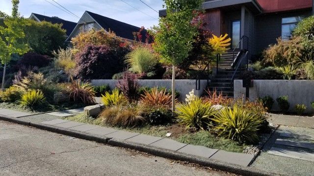 Low Maintenance Parking Strip Landscaping
