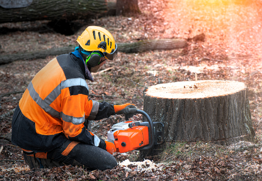 how to remove a tree stump with a chainsaw