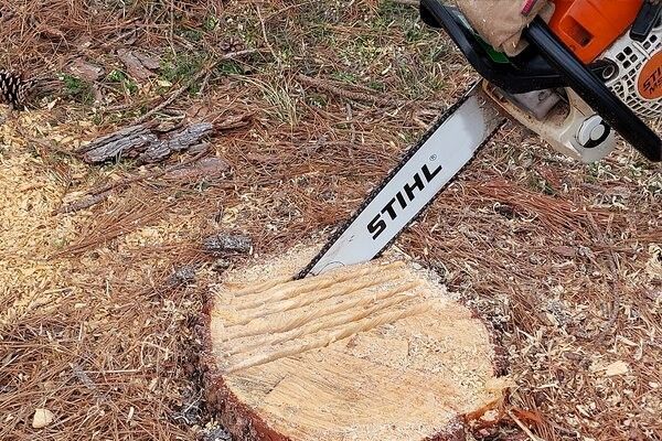 how to remove a tree stump with a chainsaw