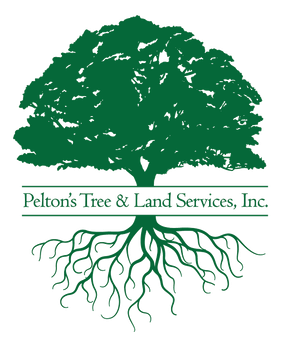 Pelton's Tree & Land Services, Inc. Certified Arborist in Gautier, MS