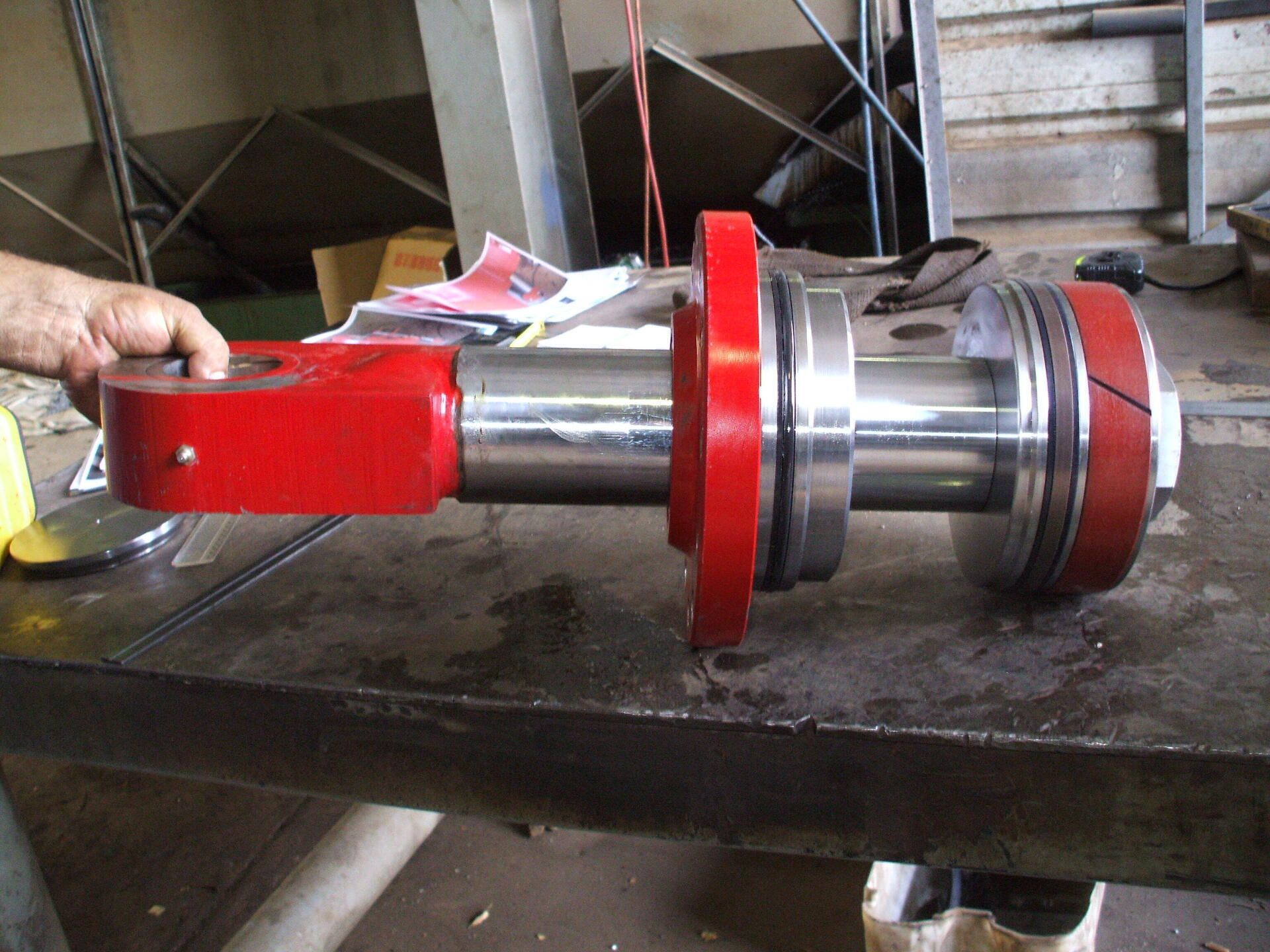 BIG ram — Gallery in Ayr, QLD