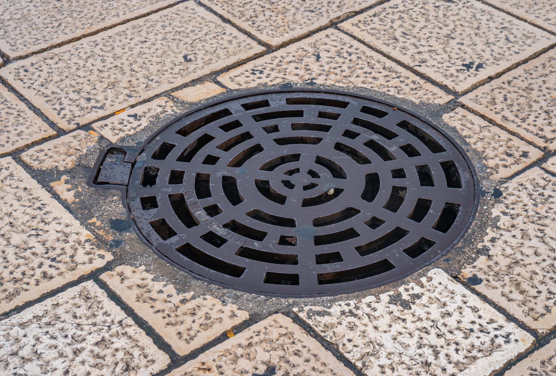 Sewer, Water, and Storm Drain Installation