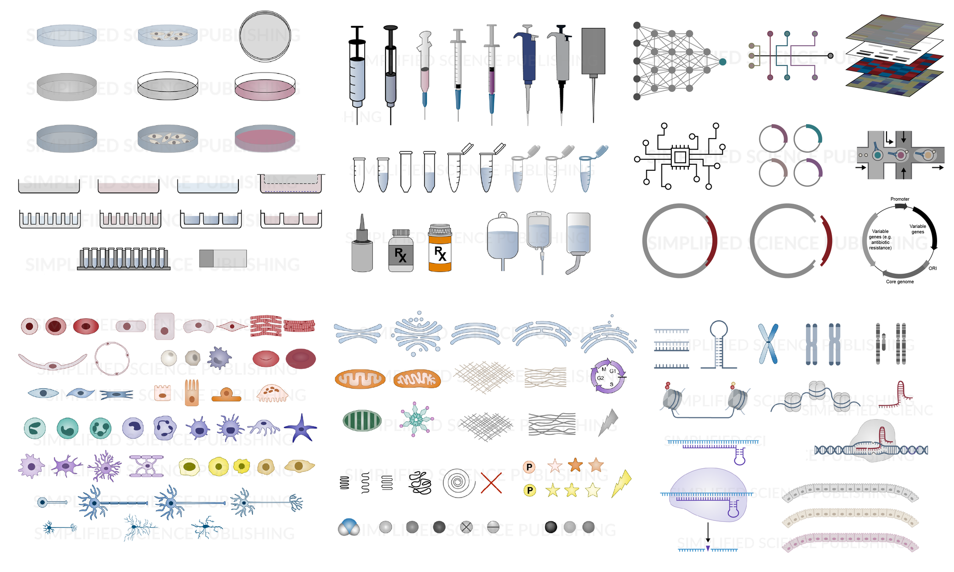 Science image examples from template store