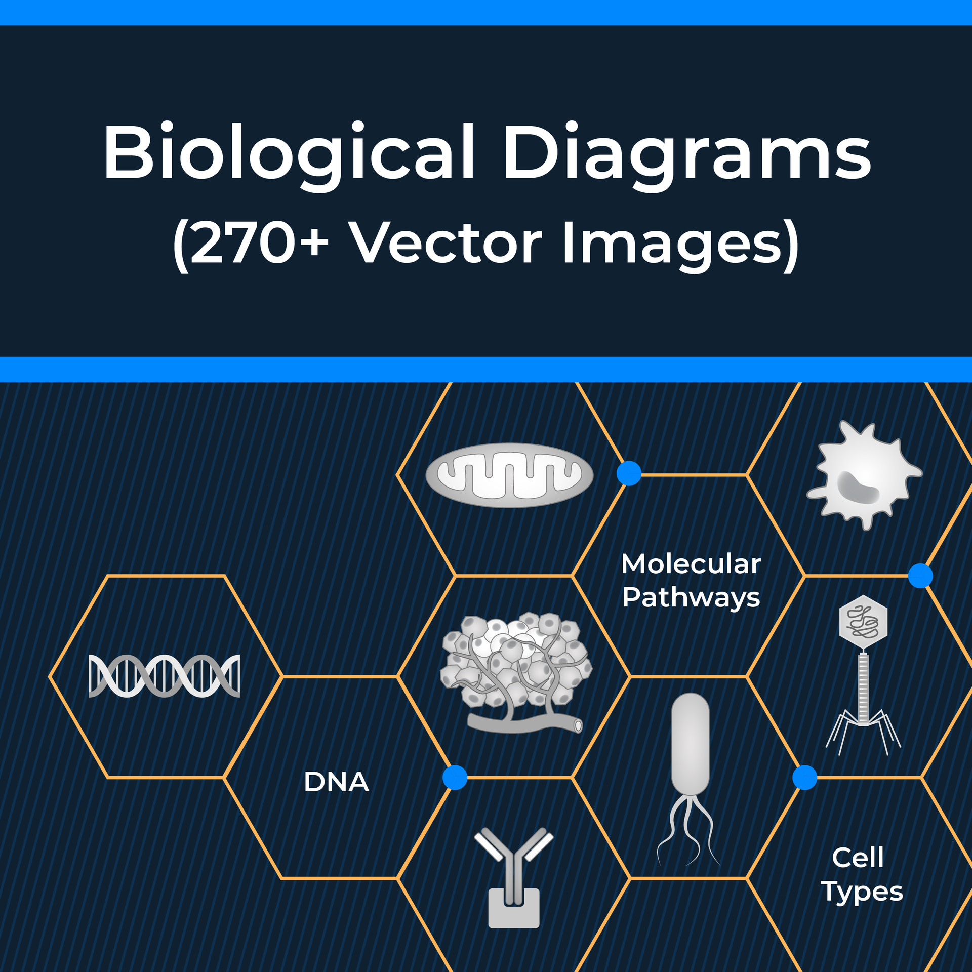 1_Biological Diagram Templates
