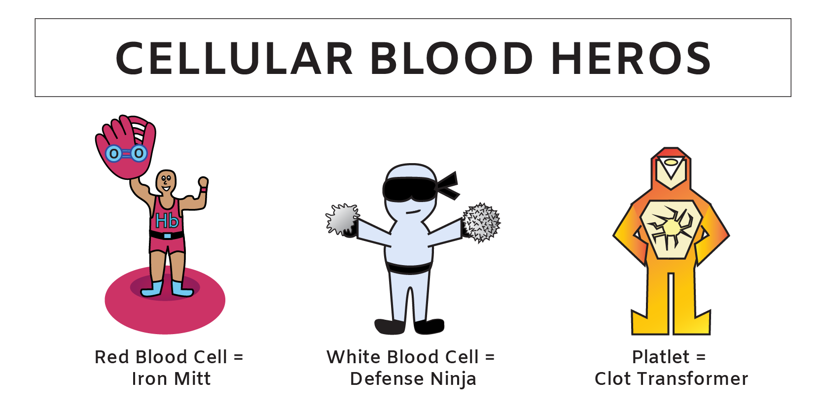 Blood cell types