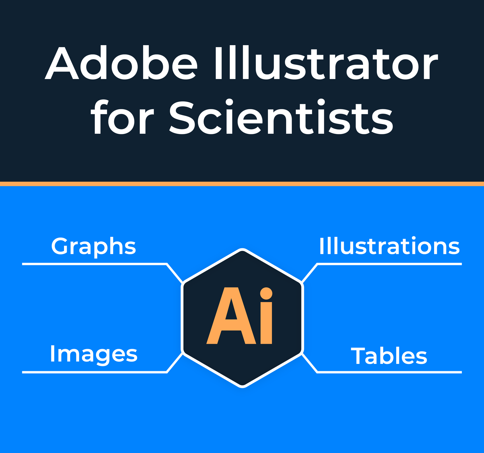 Adobe Illustrator course for scientists overview