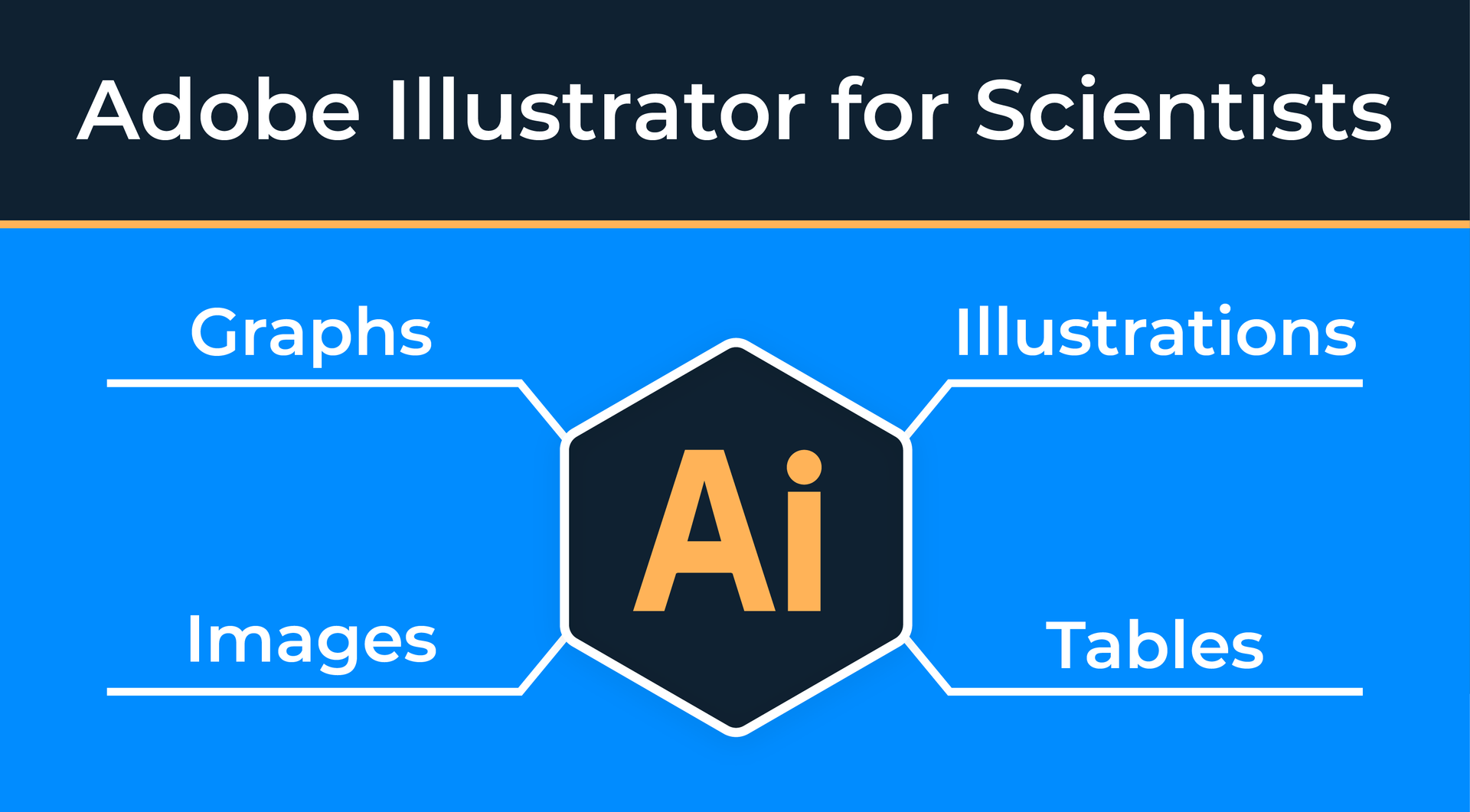 Adobe Illustrator online course for scientists and researchers
