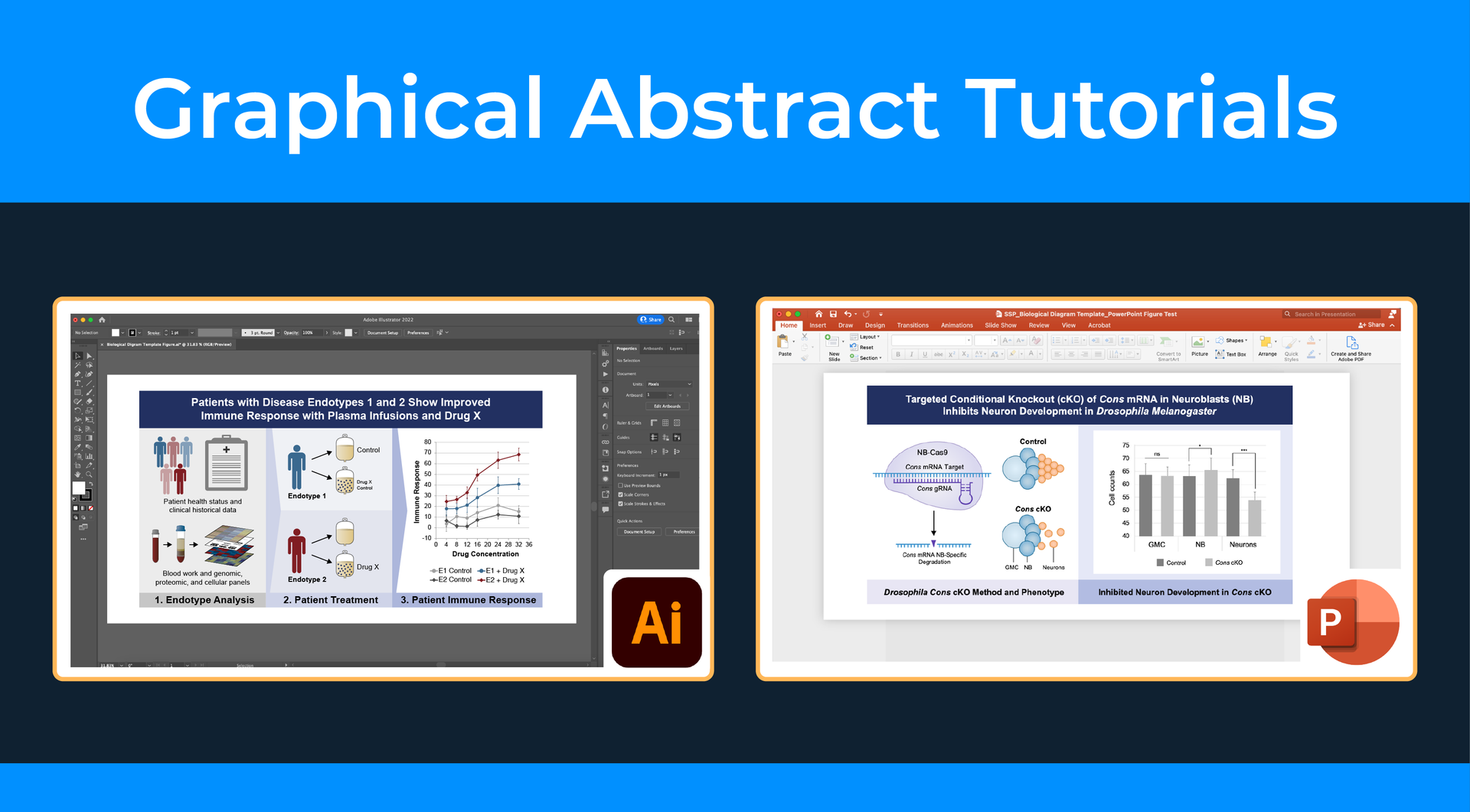Graphical Abstract Tutorial Examples for Adobe Illustrator and PowerPoint