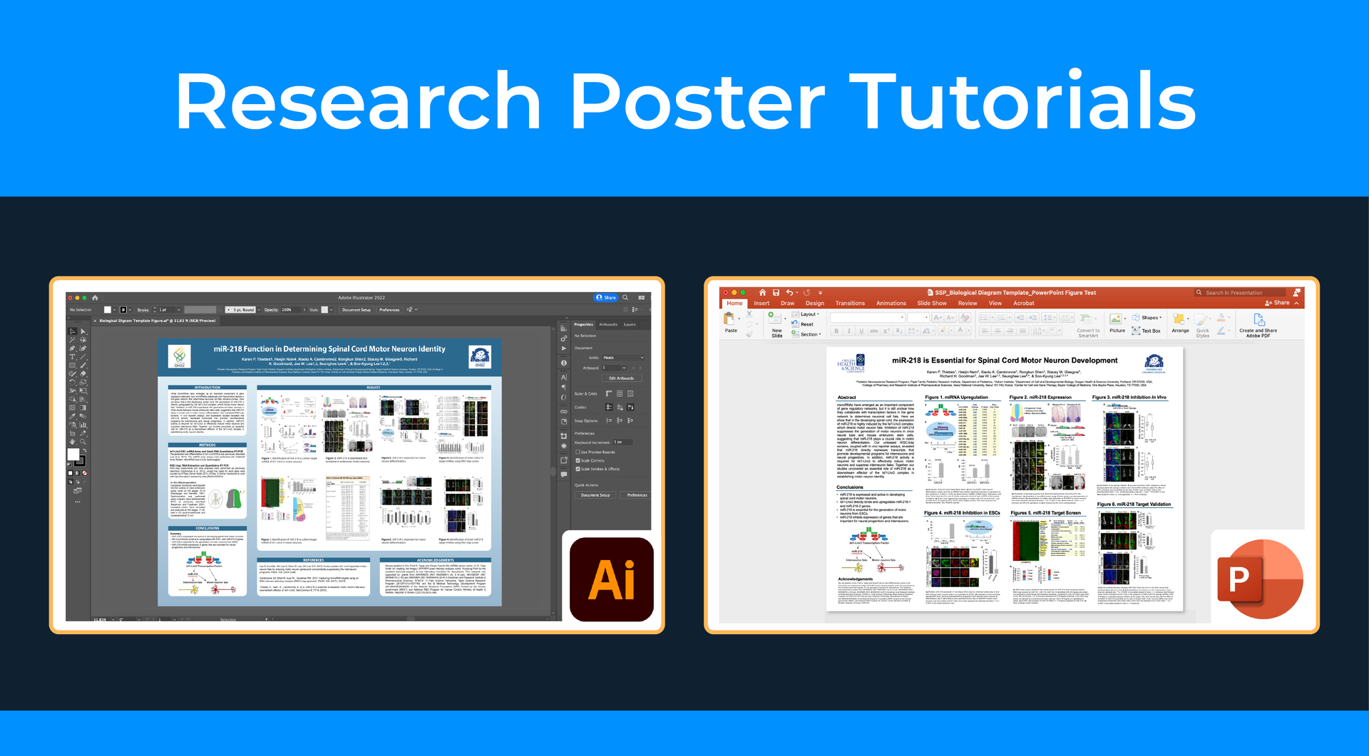 Science poster examples for online course