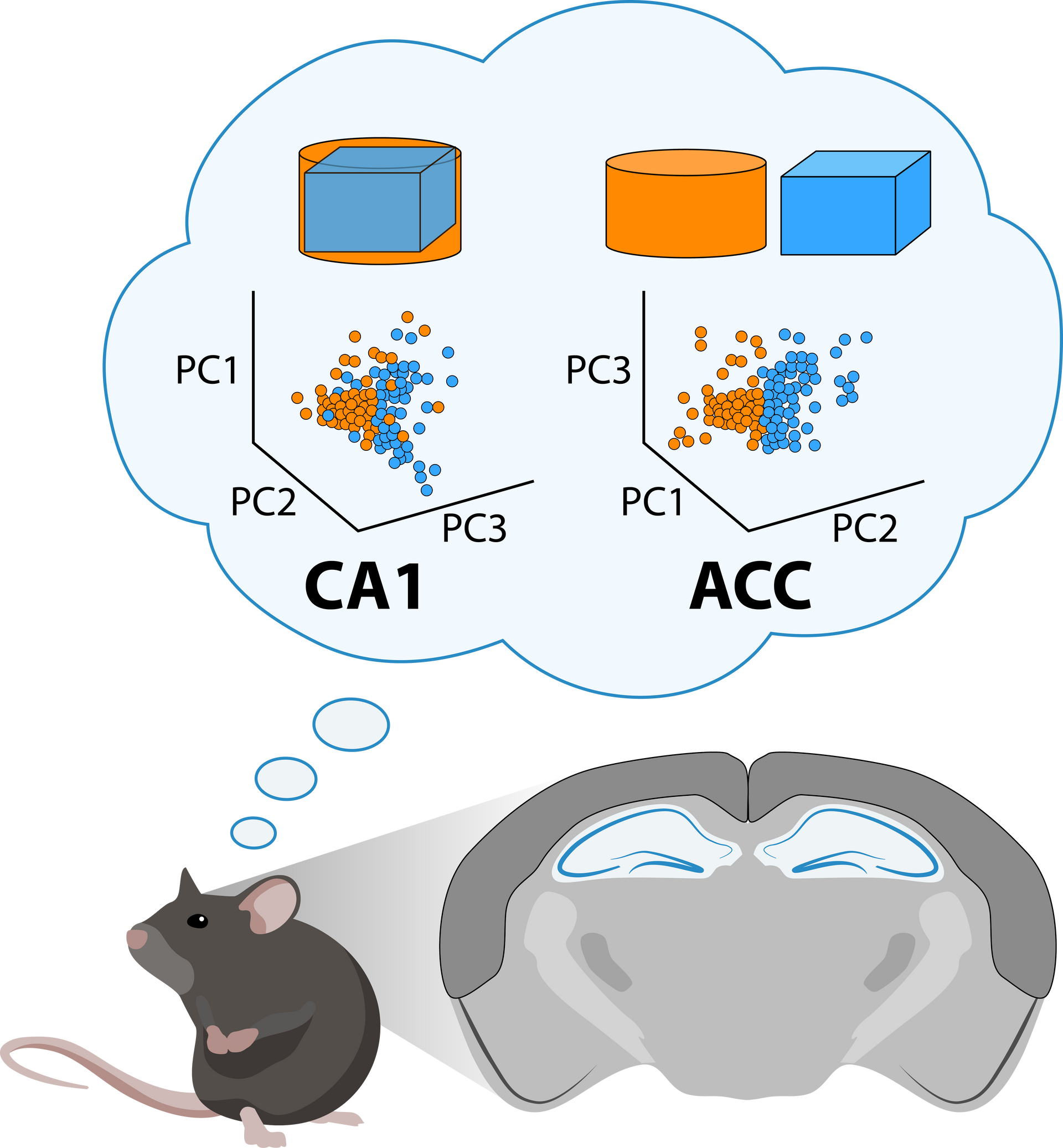 Mouse memory scientific illustration example for publication