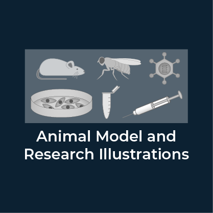 Science drawings of animals, cell types, petri dish, test tubes and syringe