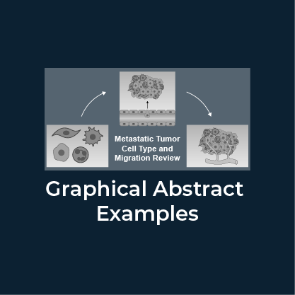 Graphical abstract examples