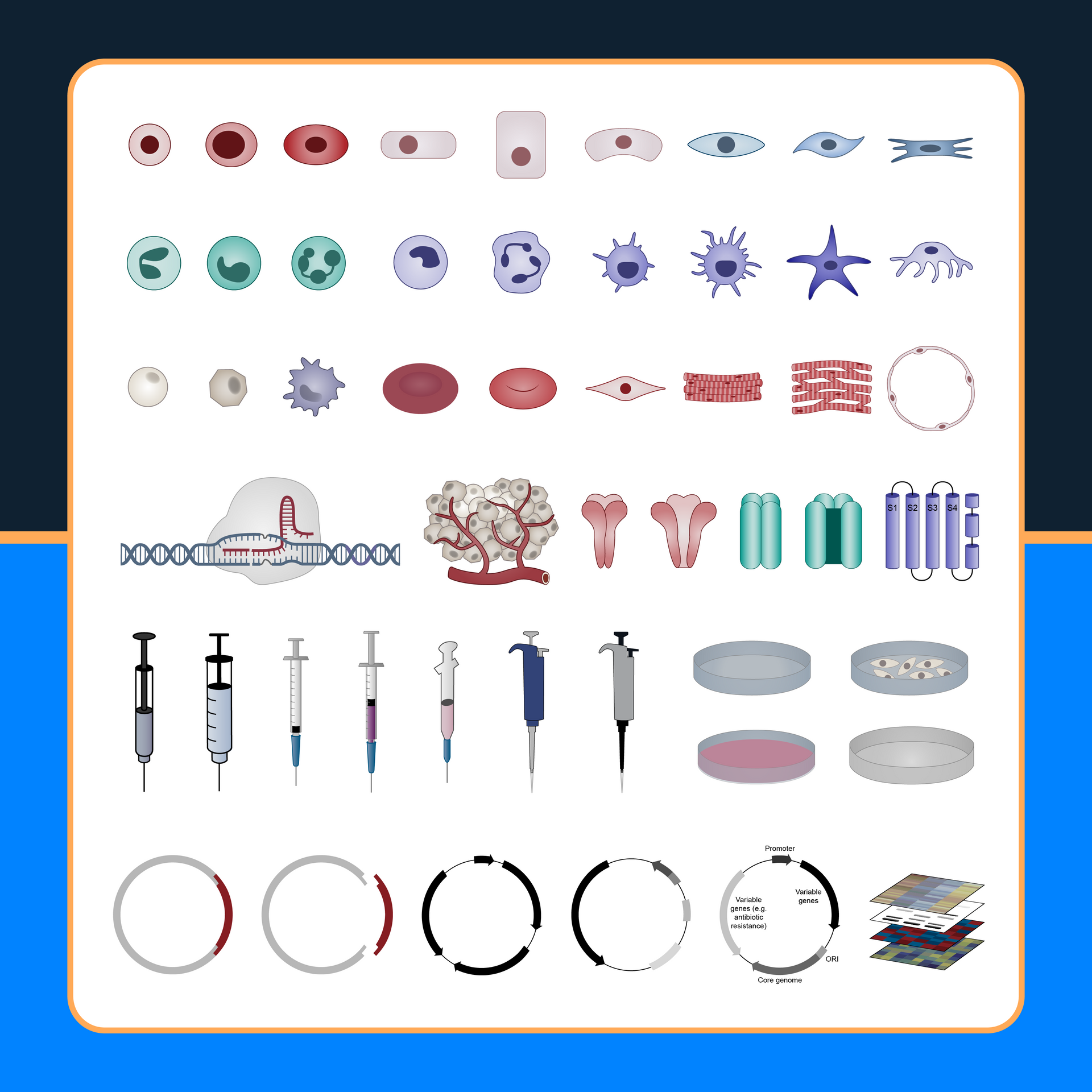 Science image examples with cells, plasmids, and lab tools