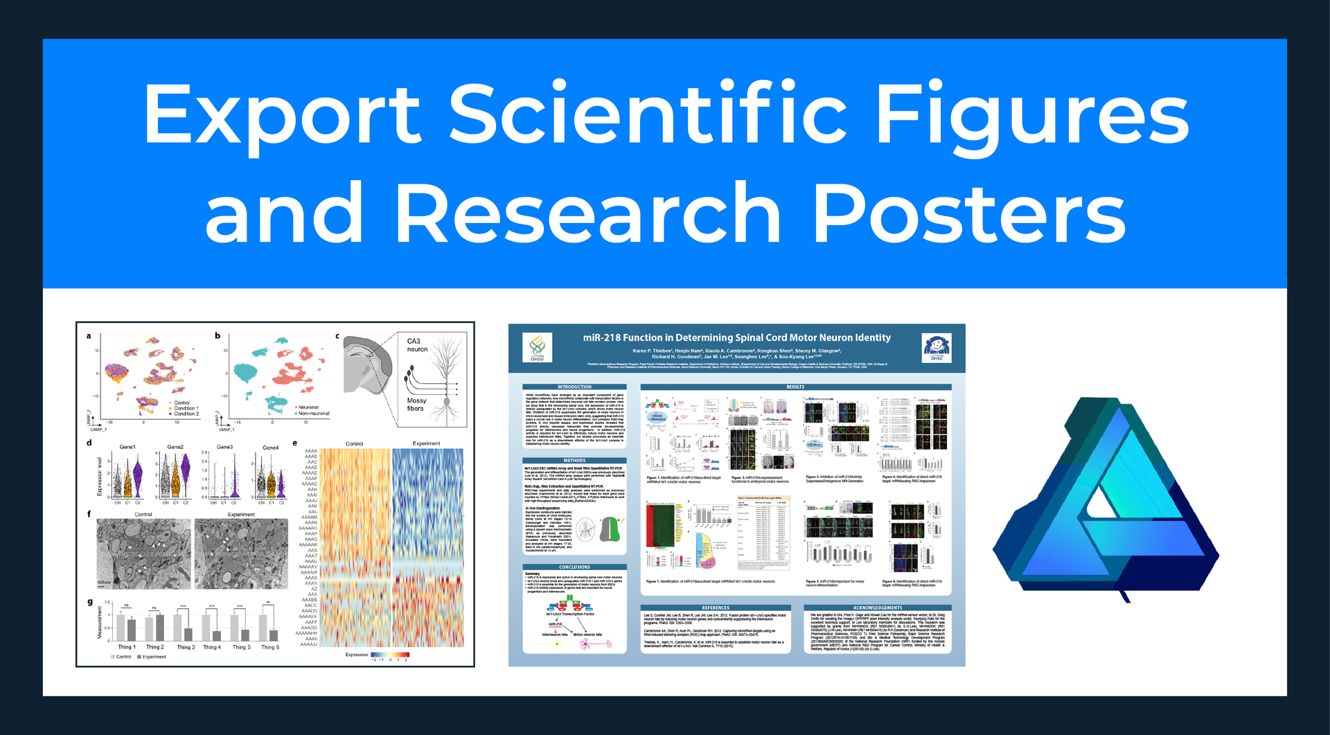Examples of research poster and figure for science papers