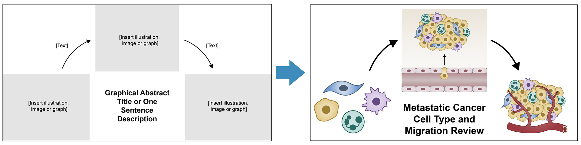 Graphical abstract example with cancer cell illustrations