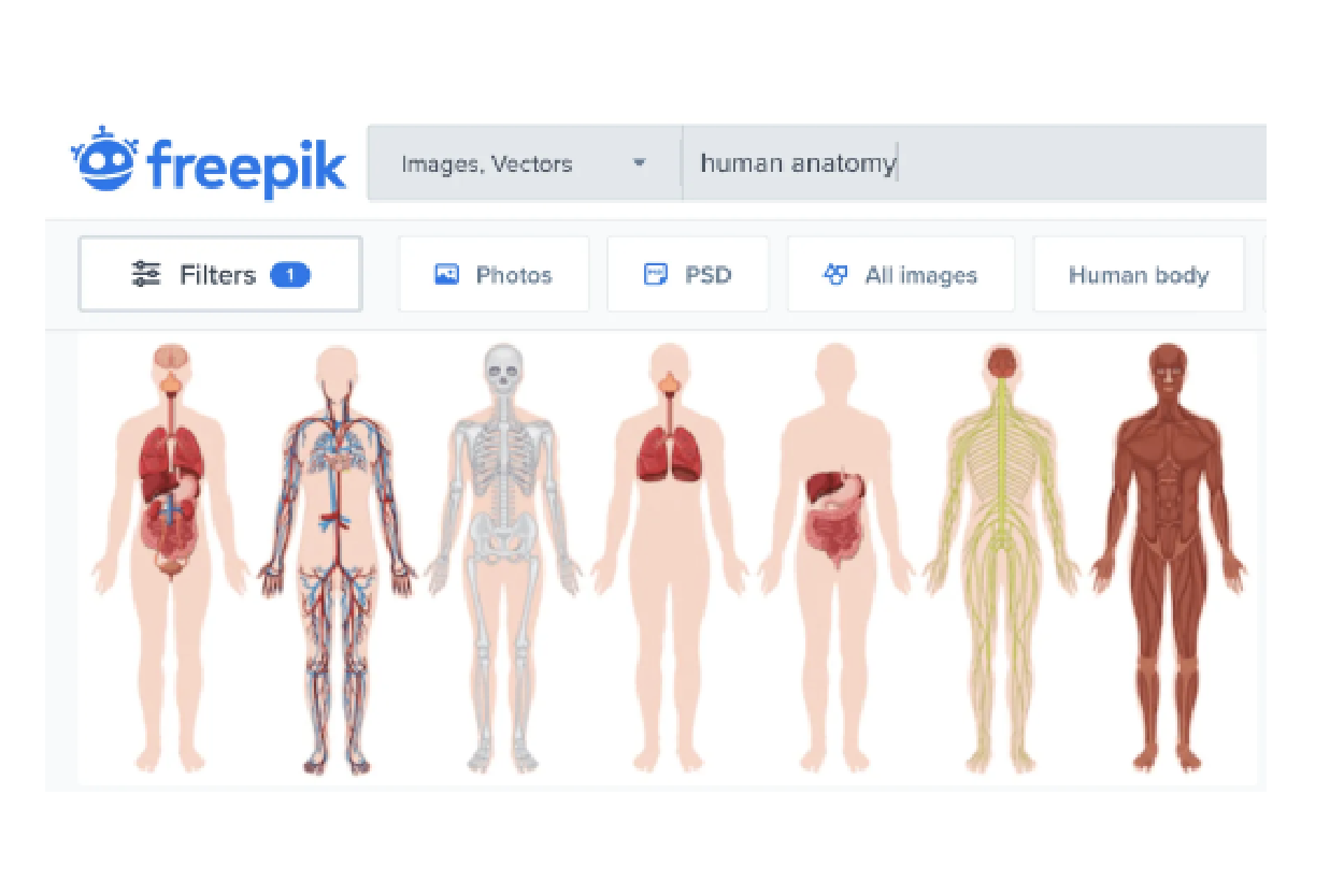 Freepik science image template human anatomy example