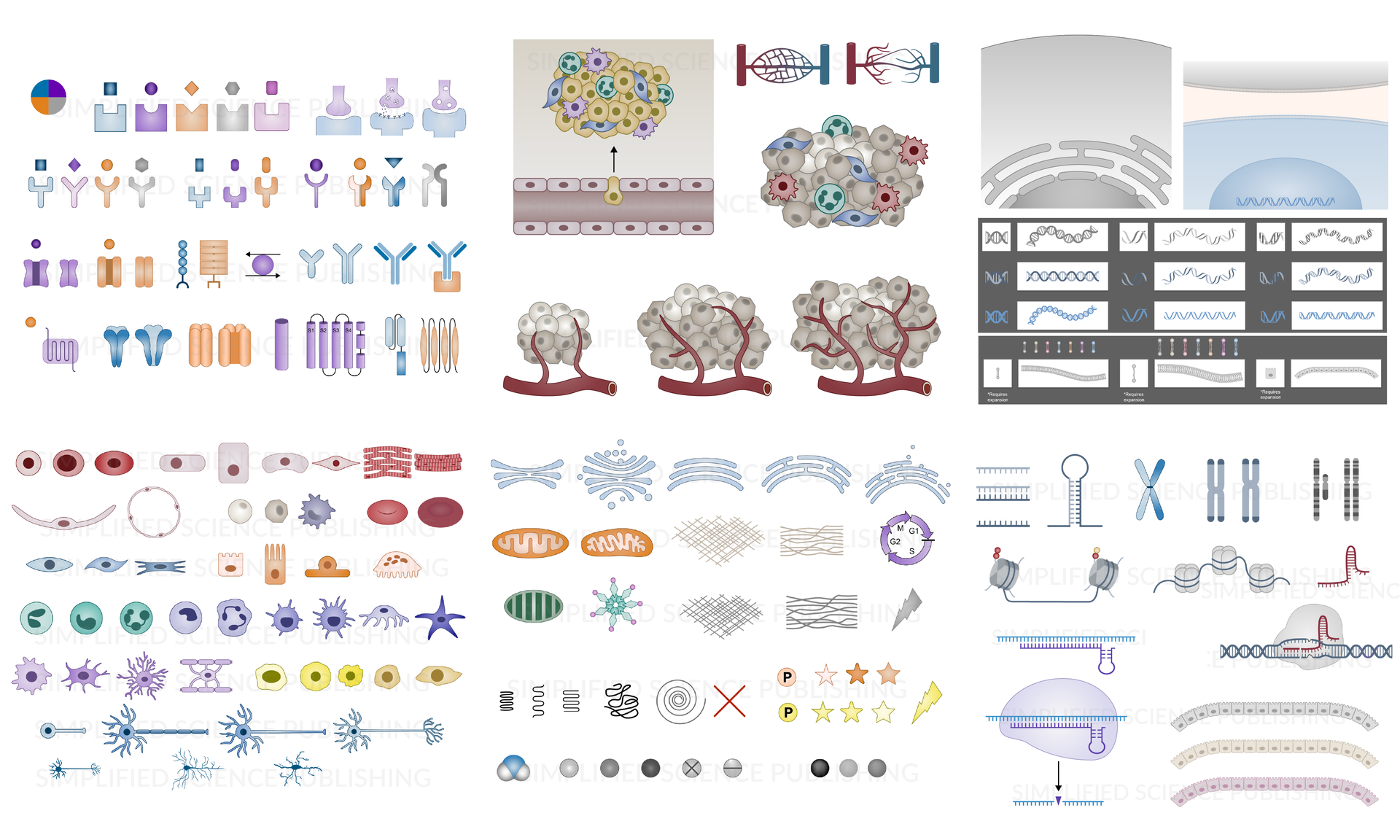 Scientific illustration examples of biological diagram drawings
