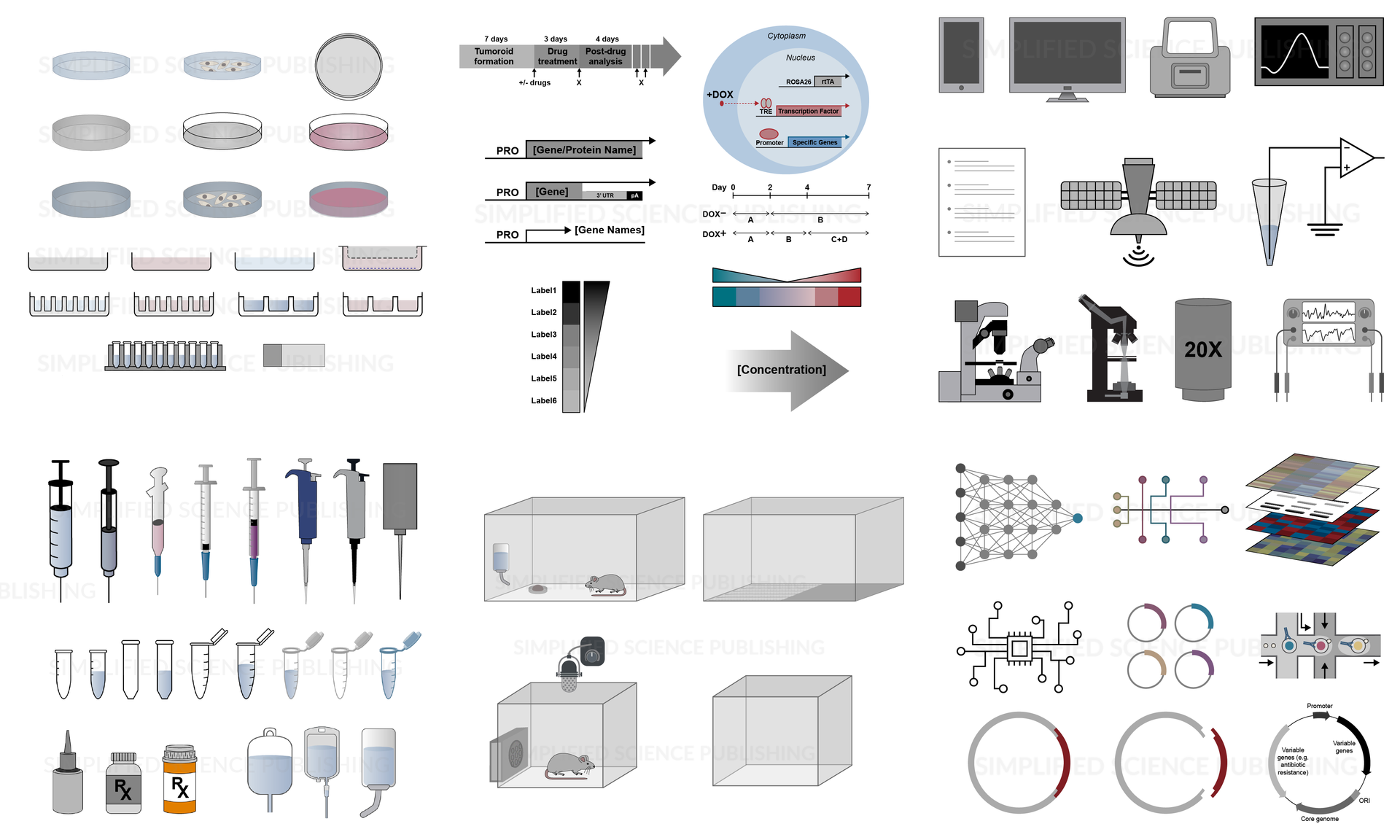 Scientific illustration examples of laboratory equipment
