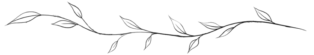 A delicate, hand-drawn black line sketch of a thin, winding vine with small, simple leaves branching off.
