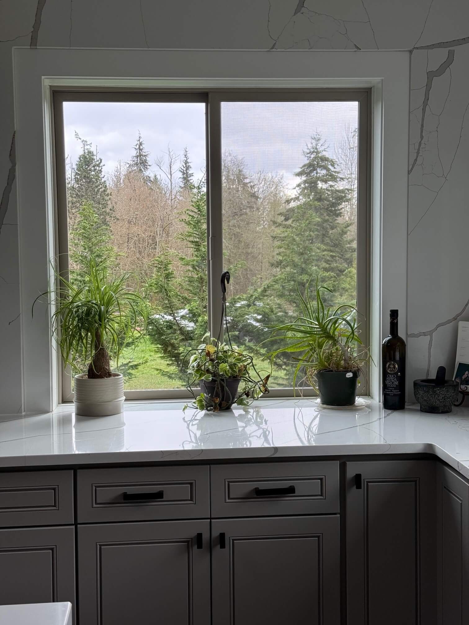 Kitchen window with plants on a countertop, framed by trees, and cloudy sky. Gray cabinets below.