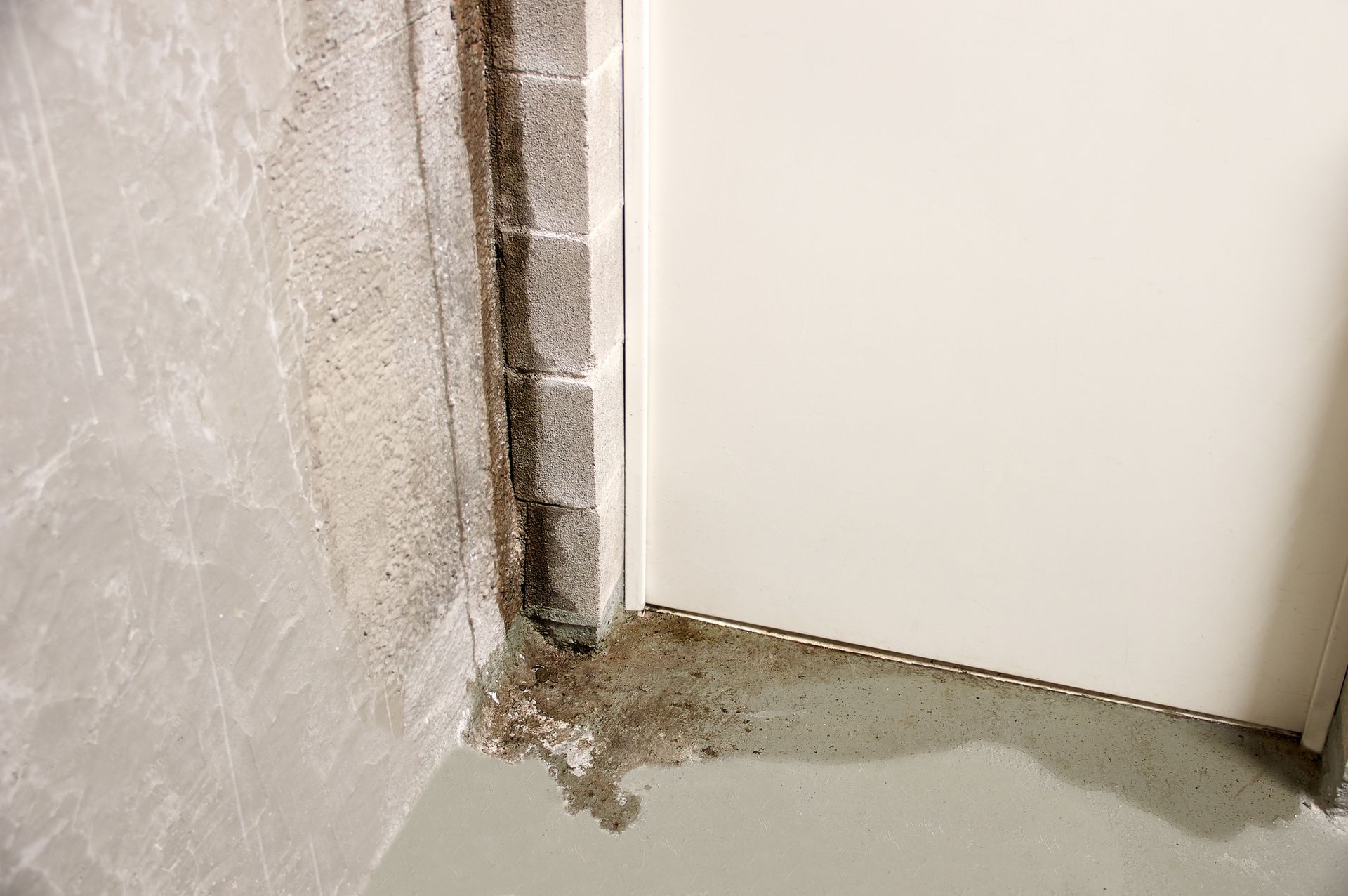 Top Tips for Waterproofing the Basement Effectively